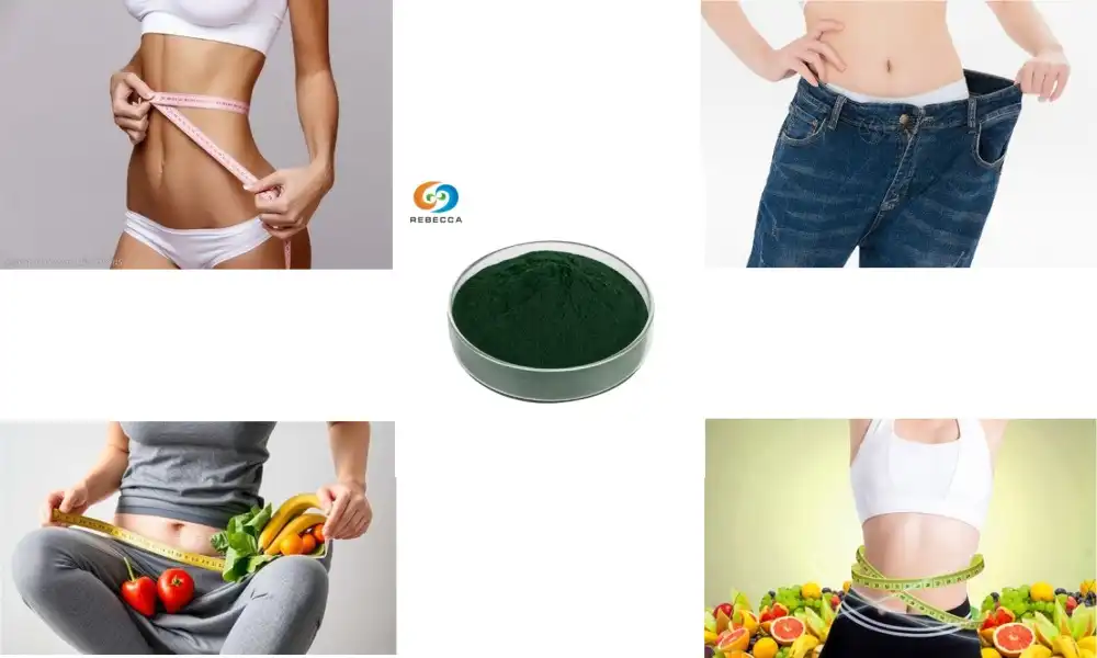 Chlorophyll Powder for Weight Loss and Cleansing Benefits